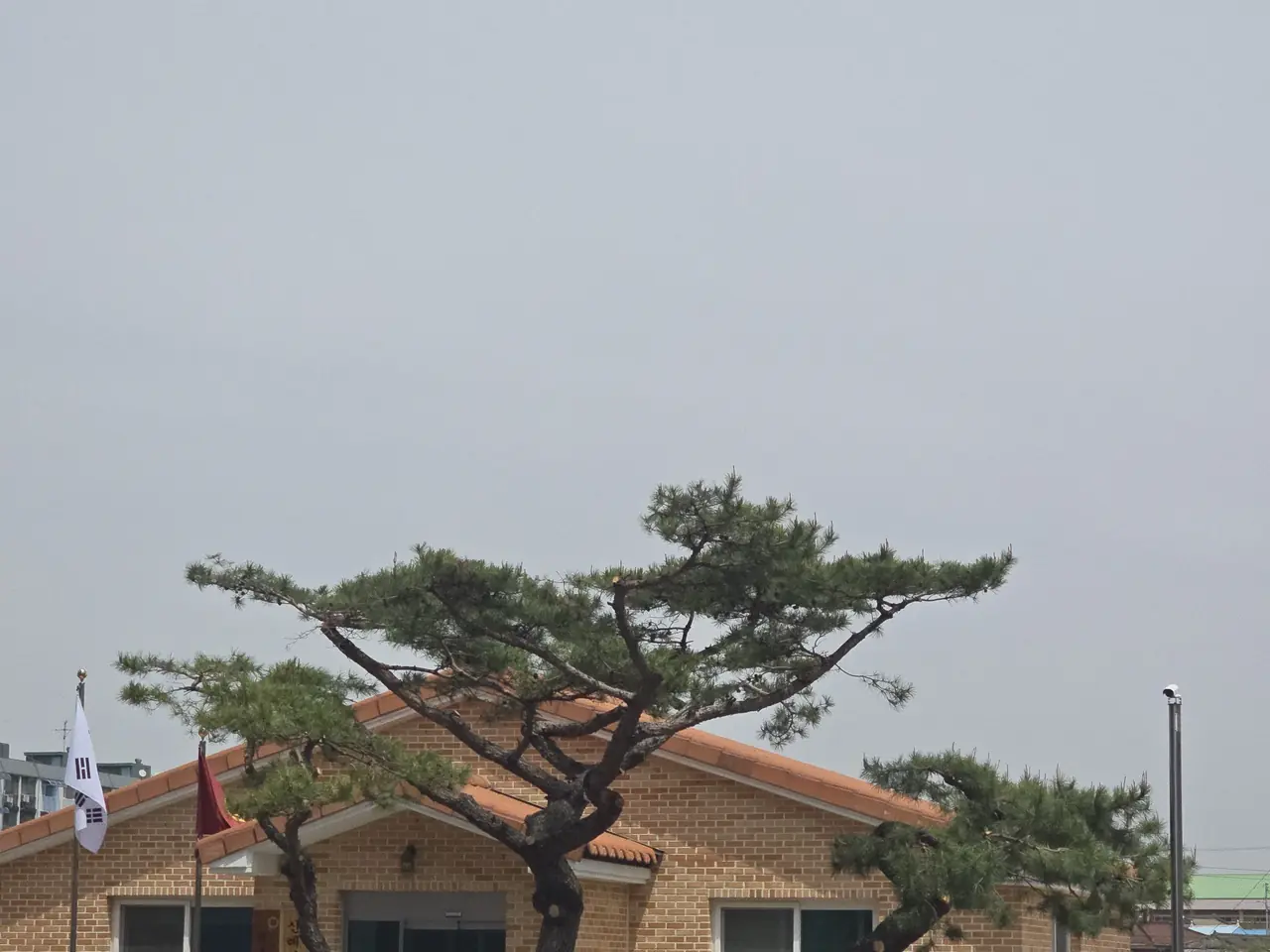 나무정리 작업 현장 사진
