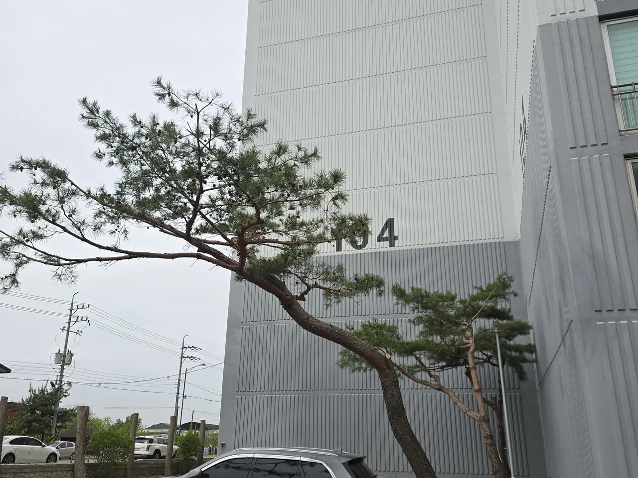 고사목정리 서비스 안내