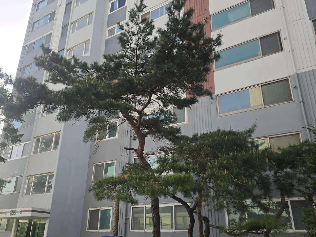 고사목판별법가이드 안내
